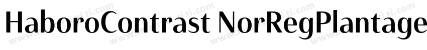 HaboroContrast NorRegPlantagenetChe字体转换